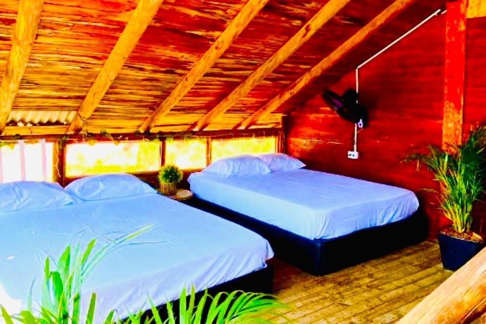 Tamarindo Beach Hostel Taganga Kültér fotó